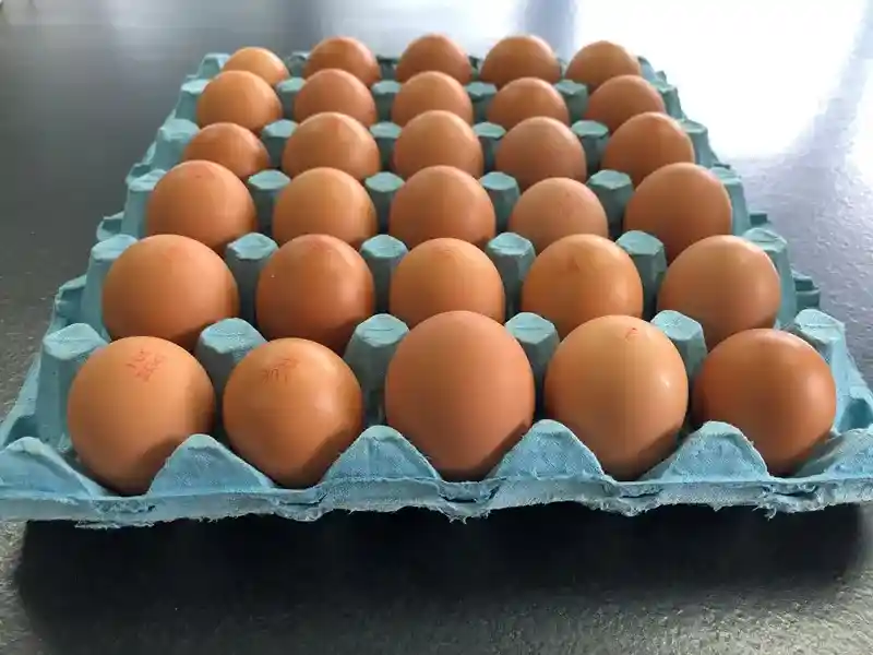 بيض احمر